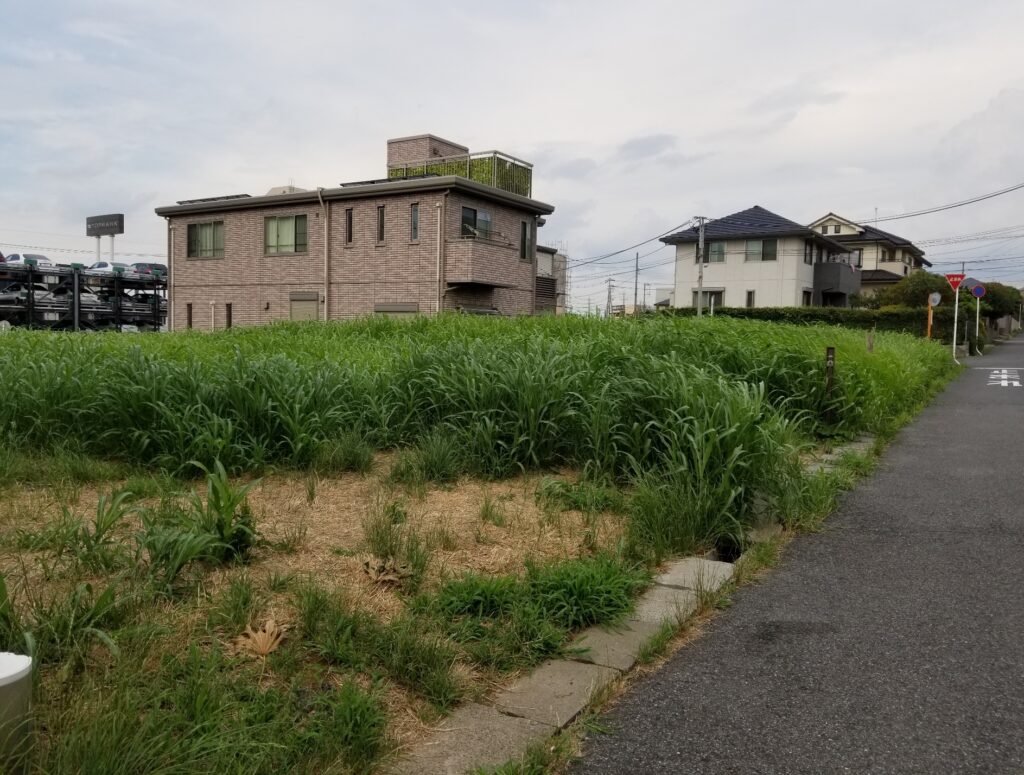 写真：草が覆い茂っている遊休更地